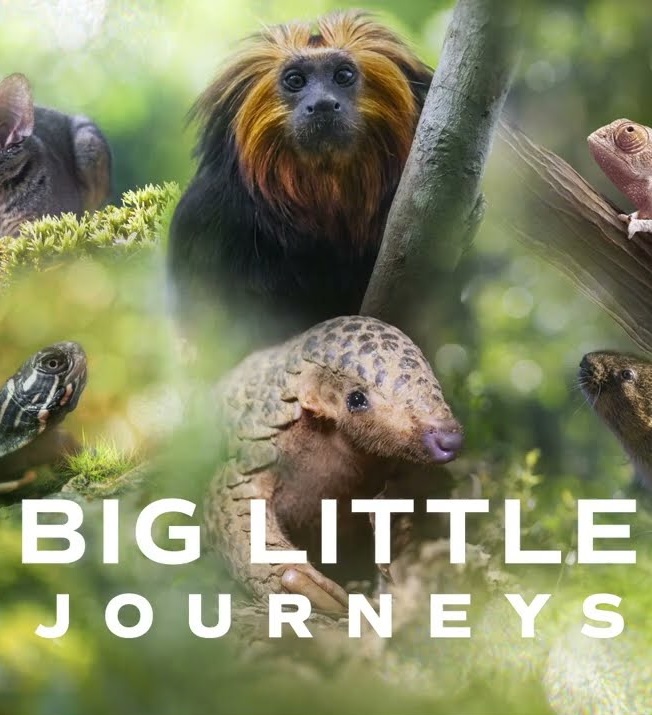 Big Little Journeys: Season 1