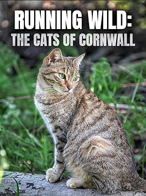 Running Wild: The Cats Of Cornwall (TV Special 2020)