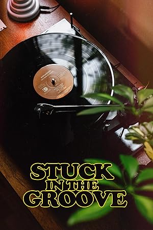 Stuck In The Groove (A Vinyl Documentary)