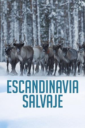 Wild Scandinavia: Season 1