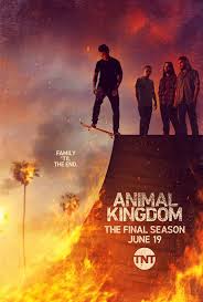 Animal Kingdom - Season 6