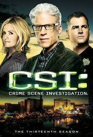 CSI: CRIME SCENE INVESTIGATION SEASON 10