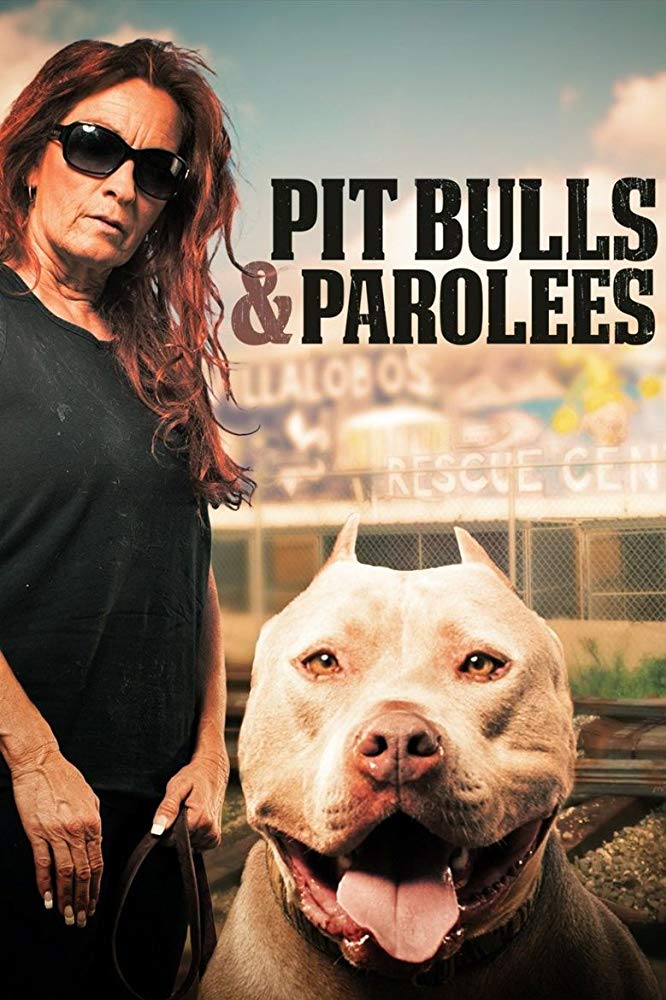 Pit Bulls and Parolees - Season 15