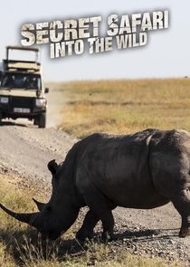Secret Safari: Into the Wild - Season 1